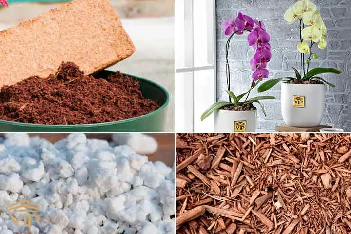 خاک ارکیده چگونه باید باشد؟ ۱۳ ترکیب خاک مناسب گل ارکیده