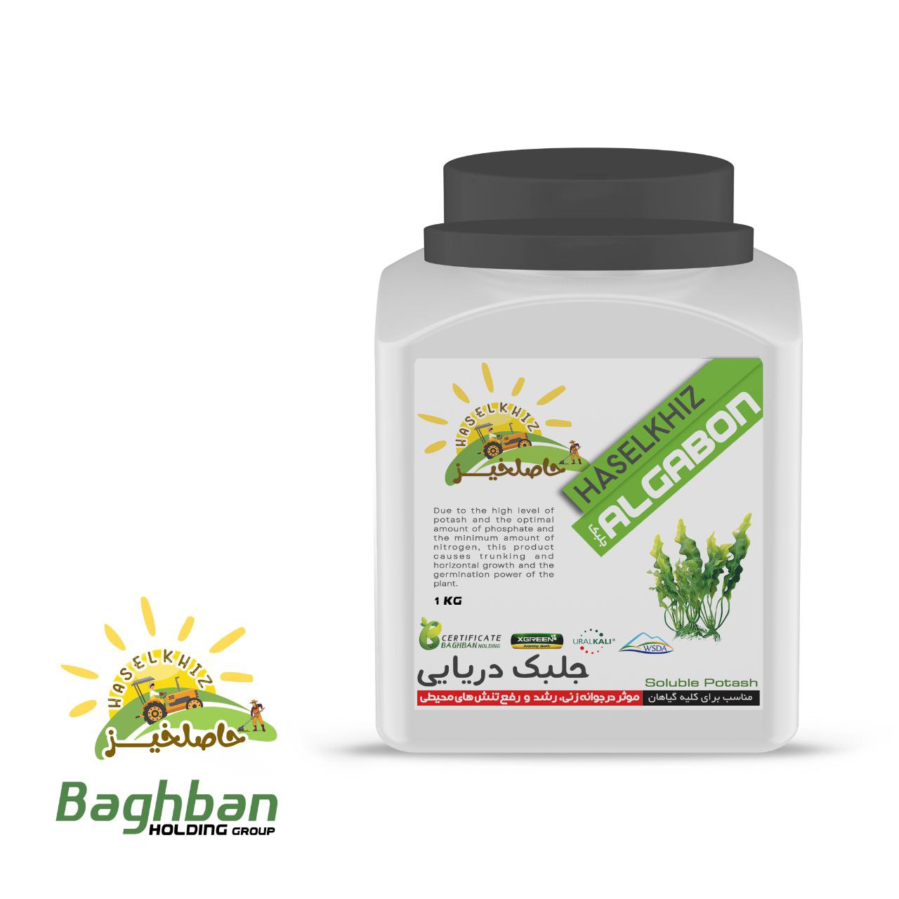 کود پودر جلبک دریایی حاصلخیز | بمب طبیعی مواد مغذی برای رشد انفجاری کود پودر جلبک دریایی حاصلخیز | بمب طبیعی مواد مغذی برای رشد انفجاری