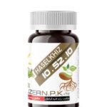 کود ریشه‌زایی پودری حاصلخیز | محرک قدرتمند برای توسعه سیستم ریشه‌ای قوی و متراکم