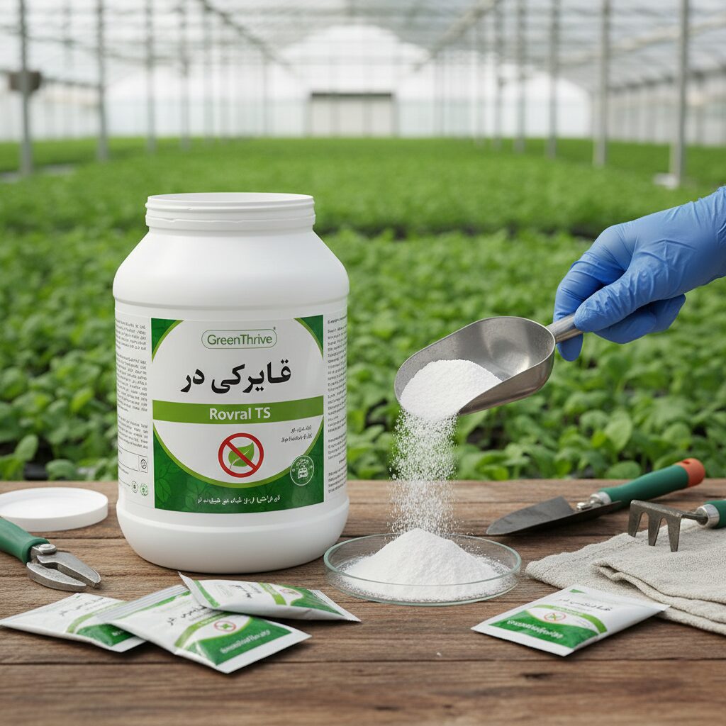 رورال تی اس